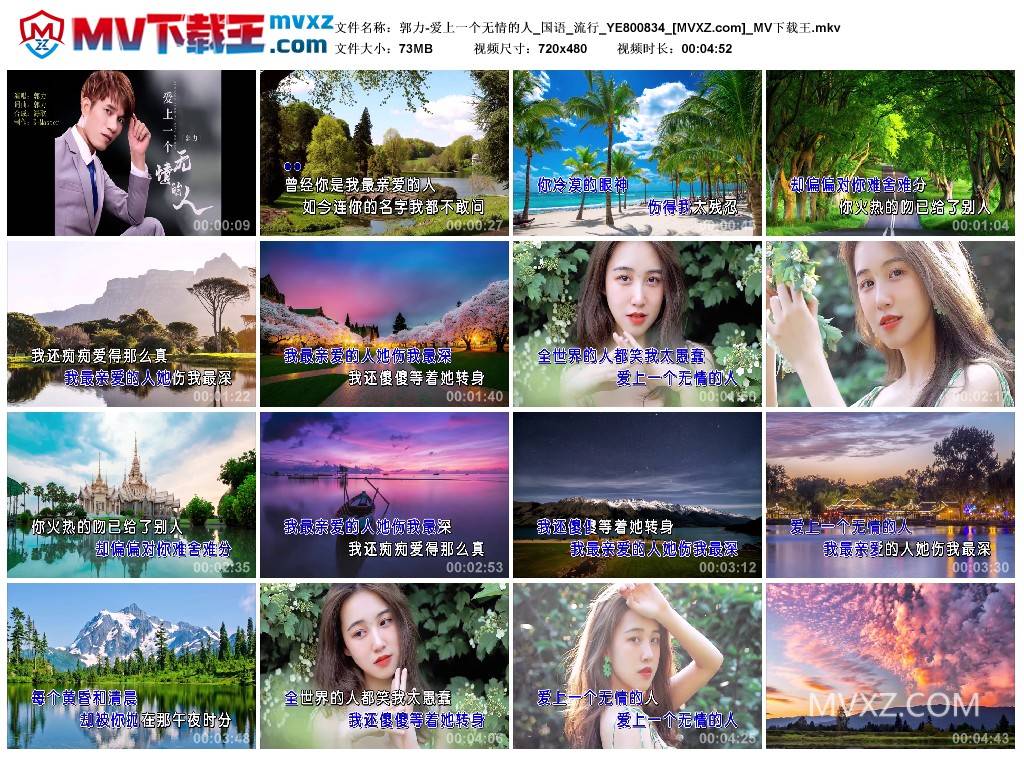 郭力-爱上一个无情的人_国语_流行_YE800834